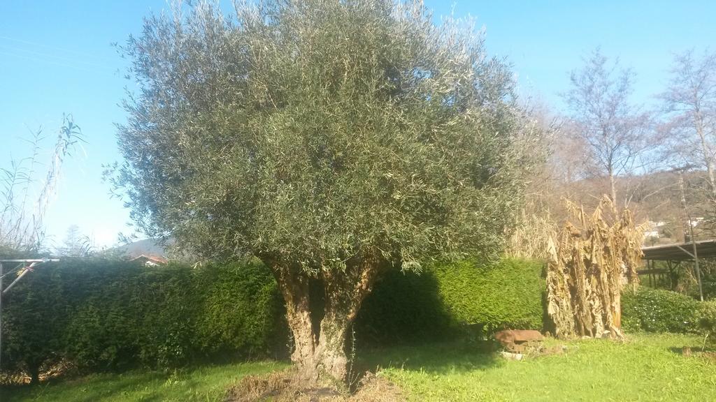 Casa Rural Ibarrondo Etxea Mungia Esterno foto